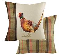 Evans Lichfield Hunter Coussin Garni de Polyester Motif Faisan Multicolore 43 x 43 cm