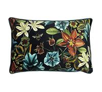 Evans Lichfield Minuit Jardin ancolie Plume Coussin rempli, Polyester, Sarcelle, 40 x 60cm