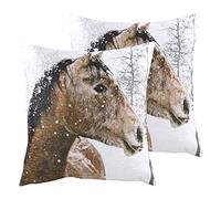 Evans Lichfield Photo Coussins remplis de Polyester pour Chevaux (Paquet jumeau), Multi, 43 x 43cm