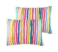 Evans Lichfield Stripe Plumes Coussins Aquarelle obturées (Twin Pack), Polyester, Multi