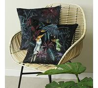 Evans Lichfield Zinara Coussin rembourré en Velours Motif Oiseaux