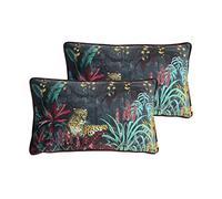 Evans Lichfield Zinara Lot de 2 Coussins Garnis de Plumes léopard