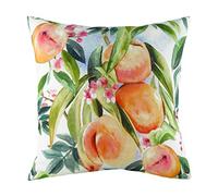 Evans Litchfield Coussin rembourré en Polyester Motif pêches aux Fruits 43 x 43 cm