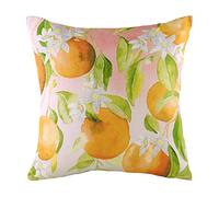 Evans Litchfield Housse de Coussin Motif Fruits Oranges Multicolore 43 x 43 cm