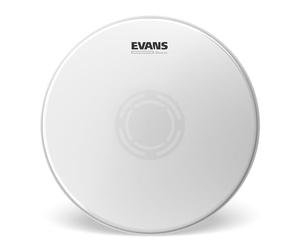 Evans UV1 Reverse Dot Peau Caisse Claire B14UV1RD 14 Pouces