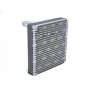 Évaporateur de climatisation 36176 NRF pour KIA RIO II RIO II A trois volumes