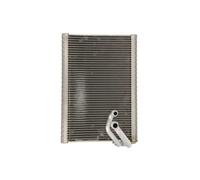 Évaporateur de climatisation R 134a DEV21003 DENSO pour CITROËN PEUGEOT