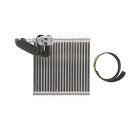 Évaporateur de climatisation 36163 NRF pour FORD FIESTA VI FIESTA VI Van
