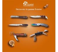 Evasion Couteau De Poche 8,5 Cm - Revêtement Titane - Lame Acier Inoxydable 3cr13 - Manche En Aluminium - Boîte Avec Fenêtre Pour Transport Sécurisé
