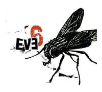 Eve 6 – Eve 6 – Vinyle 12" Édition limitée Vert foncé