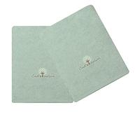 Eveil et Nature Lot de 2 Serviettes éponge 50x90 cm Coton bio Aqua