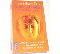 Eveillez Le Bouddha Qui Est En Vous. Comment Vivre Les Principes Du Bouddhisme Dans Le Monde Occidental