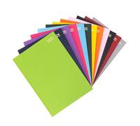 evelay Agenda journalier 2025 annuel complet une page par jour avec couverture rigide Vert citron Format A4