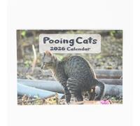 evelay Calendrier mural 2026 A4 amusant avec chat - Affichage mensuel par mois - Format A3 lorsqu'il est ouvert - Organiseur mural familial pour la maison et le bureau