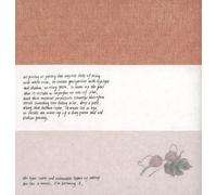 Evelyn Taocheng Wang. An equivocal contrast. Ediz. inglese e cinese