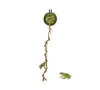 Evember Maison d'araignée sauteuse | Geckos sautant magnétique en corde d'escalade - Abri paysager pour grenouilles, salle de classe, petits animaux, nourrir les lézards, maison, geckos, exploration
