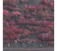 Even in Arcadia by Sleep Token [CD] NEUF