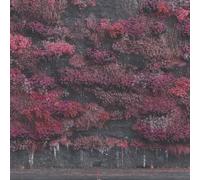 Even In Arcadia CD