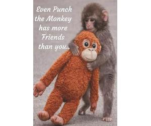 Even Punch the Monkey has more Friends than you: Funny Notebook | For Lonely People | for People with no Friends | Joke Notebook | Funny