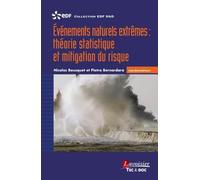 Événements naturels extrêmes : théorie statistique et mitigation du risque