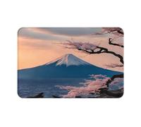 Evengigy Paillasson imprimé paysage japonais Mount Fuji - Tapis de sol antidérapant pour intérieur et extérieur - Tapis d'entrée lavable - 40 x 60 cm