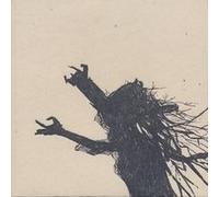 Evening Air, Freeway Birds, No Wind Birds