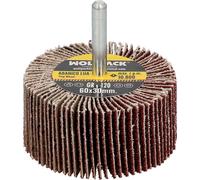 Eventail de ponçage papier abrasif de 120 dimensions ø 60 x 30 mm. Disque abrasif, roues abrasives, meules, ponçage, polissage
