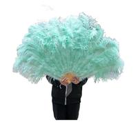 Éventail pliant en plumes