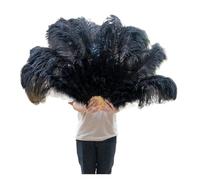 Éventail pliant en plumes