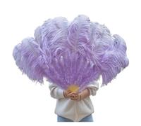 Éventail pliant en plumes