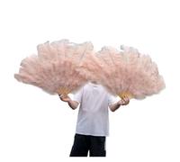 Éventail Pliant Plumes Teintes et Côtes Fortes