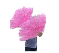Éventail Pliant Plumes Teintes et Côtes Fortes
