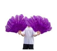 Éventail Pliant Plumes Teintes et Côtes Fortes