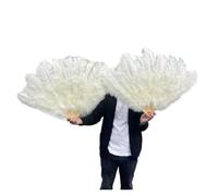 Éventail Pliant Plumes Teintes et Côtes Fortes