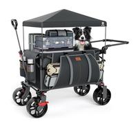 EVER ADVANCED Chariot de Plage Pliable XXL de 225 L à 150 kg avec Frein et Toit - Chariot de Plage avec Roues de 20x9 cm - pour Camping, Plage, Courses, Gris