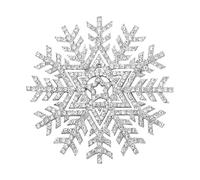 EVER FAITH Cristal Autrichien Élégant Flocon de Neige Étoile Broche Clair Ton d'argent