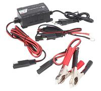 everactive CBC-1 Pile Ladegeät Chargeur de Batterie Microprocesseur 6 V Voiture 12 V