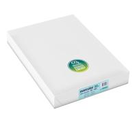 EVERCOLOR, papier reprographique, 100% recy leu clair, 80g, A3, Ange Bleu, ramette de 500 feuilles