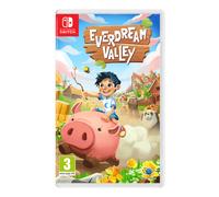 Everdream Valley Nintendo Switch