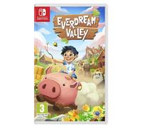 Everdream Valley Switch