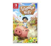 Everdream Valley Nintendo Switch - Neuf