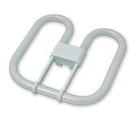 Eveready Ampoule à économie d'énergie GR8 à 2 broches