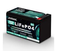 EverExceed Batterie 12V 8Ah Batterie Lifepo4, Batterie 12V Intégrée BMS,3000+ Cycles Profonds Batterie Lithium pour UPS, Fish Finder, Tondeuse à gazon, Système d'alarme anti-intrusion, Panneau solaire