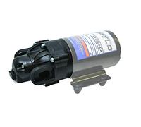 Everflo EF2200-QA-KIT Tête de pompe à membrane 12 V Noir