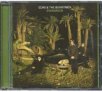 Echo & the Bunnymen - Evergreen