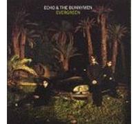 Evergreen [+4 Bonustrx] [Import]