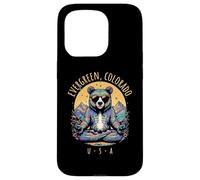 Evergreen Colorado Abstrait Ours Chill Zen Yoga Design Coque pour iPhone 15 Pro