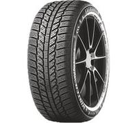 Pneu EVERGREEN EW62 205/55 R 16 91H 3PMSF