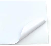 Evergreen Goods 10 Sheets A4 Self Adhesive Vinyl Waterproof Matte Gloss Self Adhesive Self Adhesive Vinyl For Cutting Machines - White Gloss