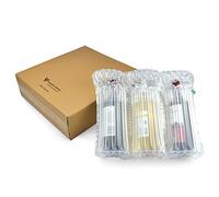 Evergreen Goods Lot de 10 boîtes pour bouteilles de vin et spiritueux avec coussins gonflables | Sacs de protection avec boîtes en carton pour un transport sûr des bouteilles en verre (boîte et sac